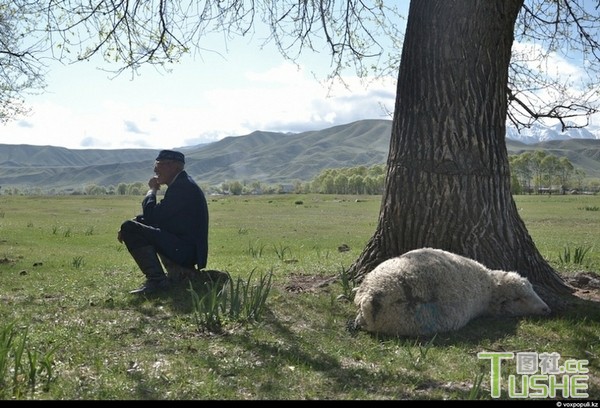 哈萨克斯坦村民宰羊求雨全过程